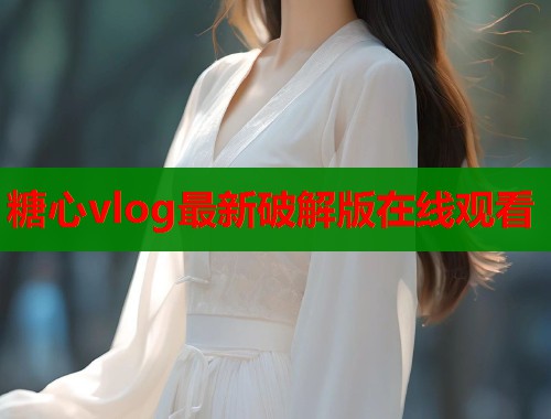 糖心vlog最新破解版在线观看